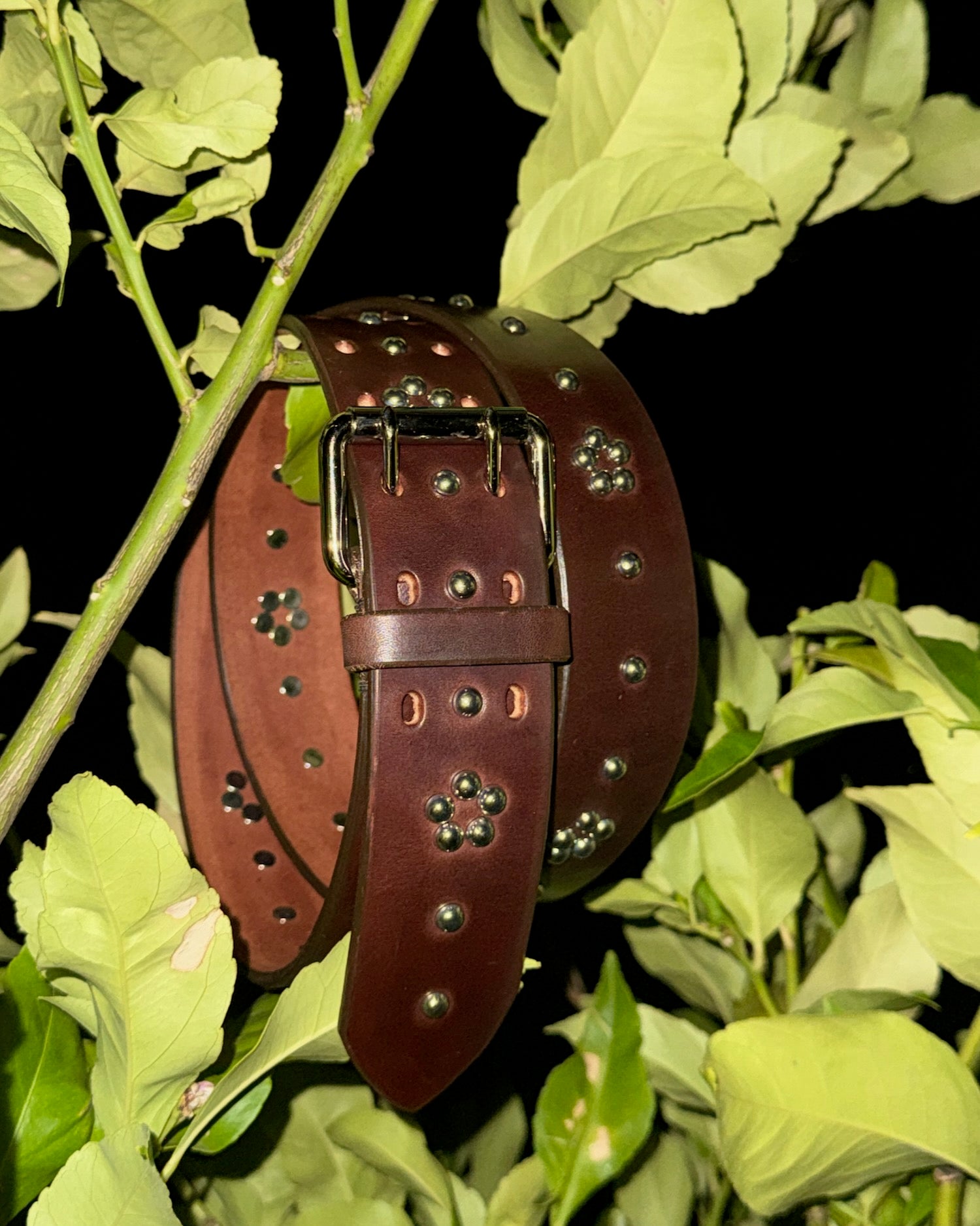 Forget-Me-Not Studded Belt