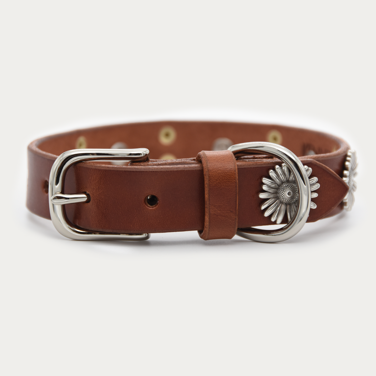 Dog Collar - Two-tone Daisy Chain
