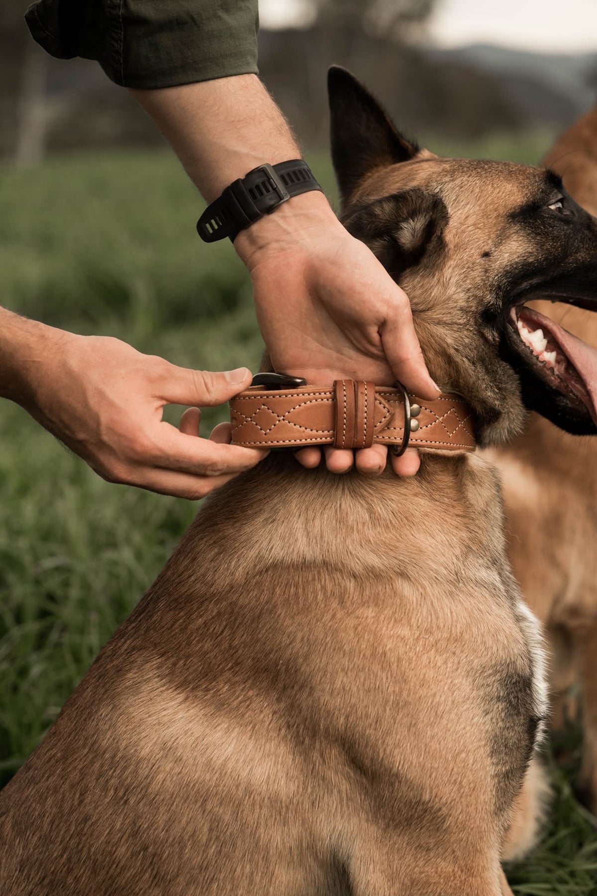 Dog Collar - Rugged Cowboy Stitch, Extra Wide 1.5" - Antique Brass